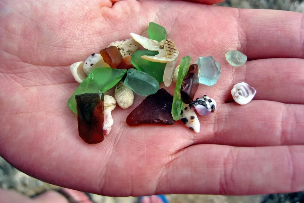 A palm holding several pieces of sea glass and sea shells found on the beach.
